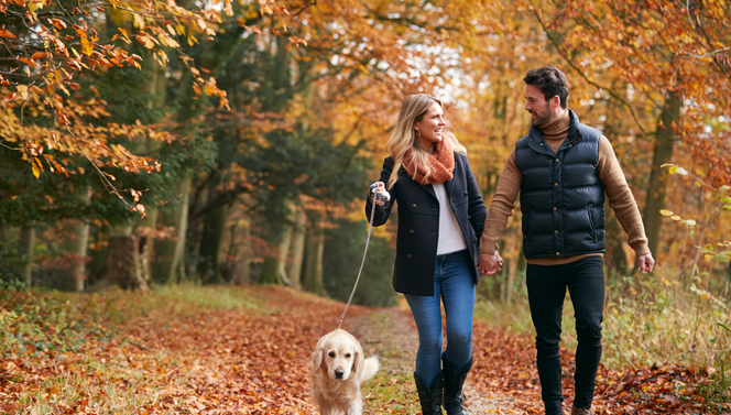 autumn van der valk nijmegen cuijk